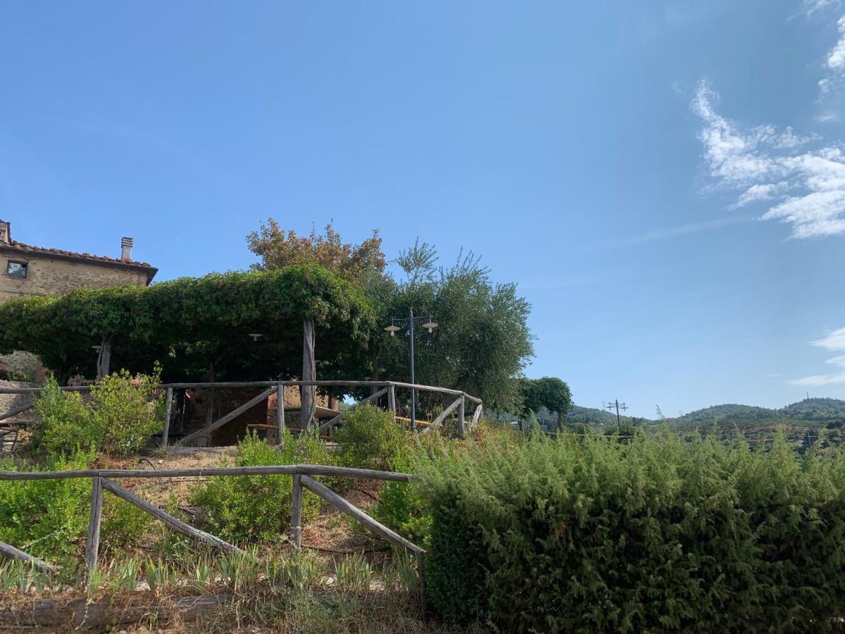 La Dispensa-Bio Agriturismo Lamporecchio Dış mekan fotoğraf