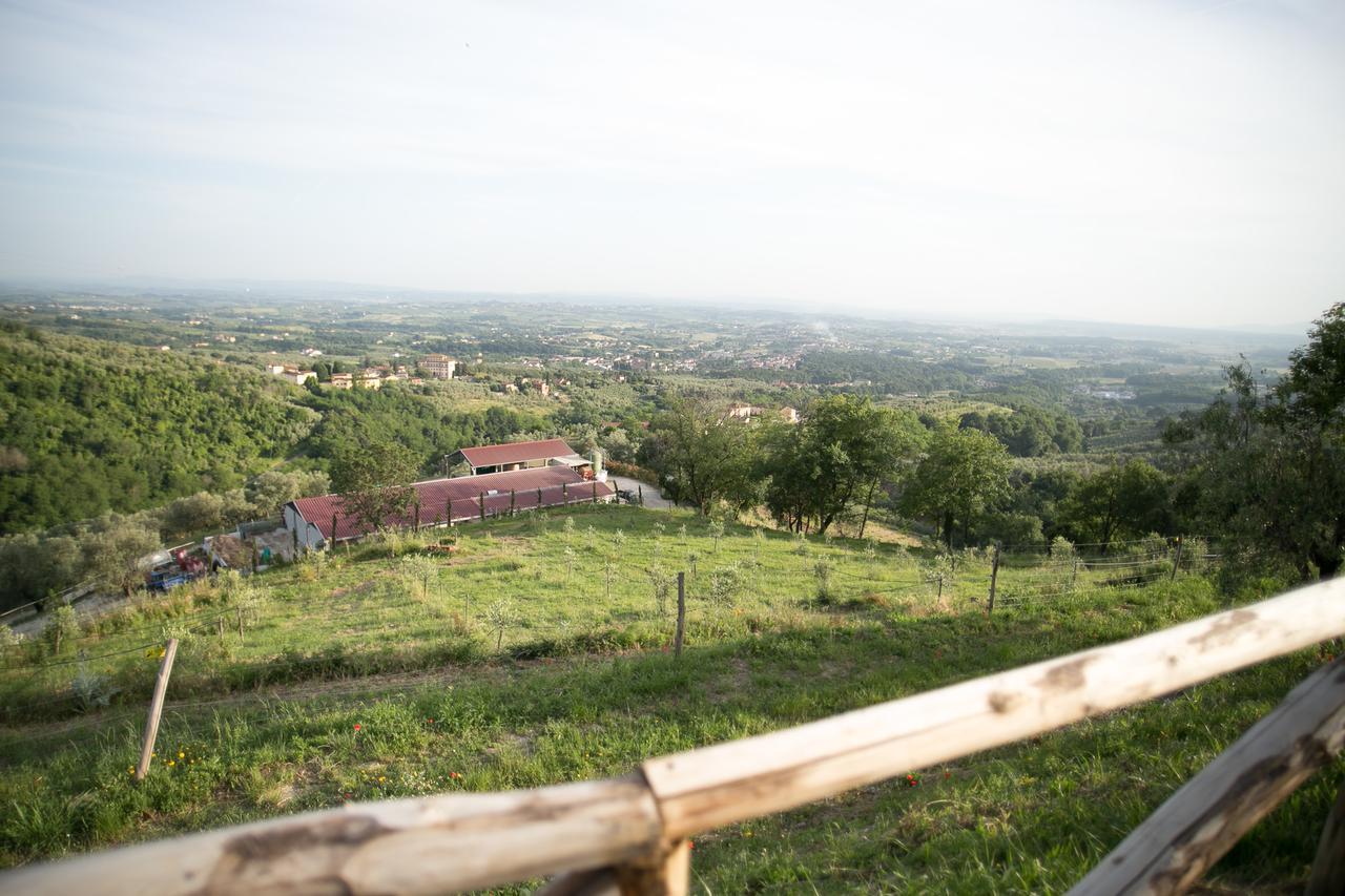 La Dispensa-Bio Agriturismo Lamporecchio Dış mekan fotoğraf