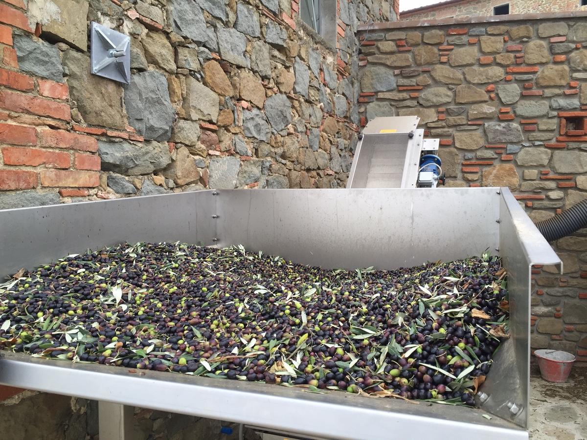 La Dispensa-Bio Agriturismo Lamporecchio Dış mekan fotoğraf